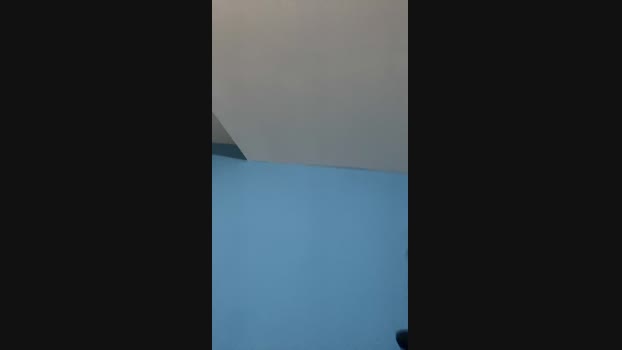 zenit25 toys Webcam SHOW @ Cam4 06-01-2025