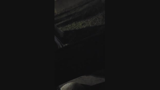 pollen_07 bigload Webcam SHOW @ Cam4 06-01-2025