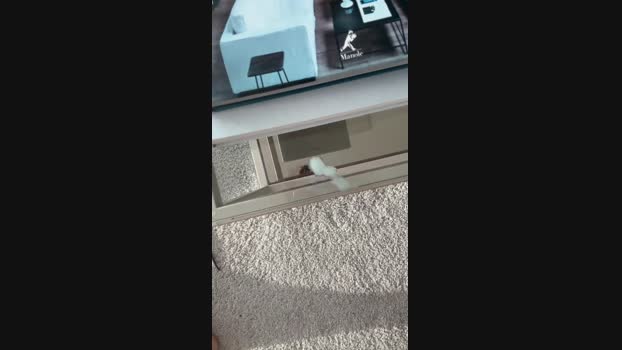 SSAFADINHOBR natural Webcam SHOW @ Cam4 08-01-2025