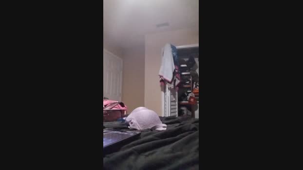 Jt14 nude Webcam SHOW @ Cam4 11-01-2025