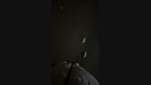 suwolanpa fuckass Webcam SHOW @ Cam4 11-01-2025