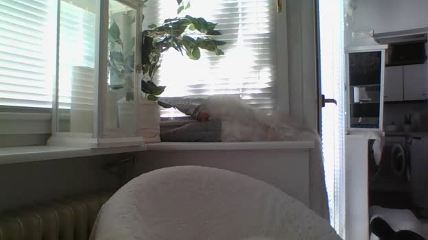 Smoft1983 suckcock Webcam SHOW @ Cam4 13-01-2025