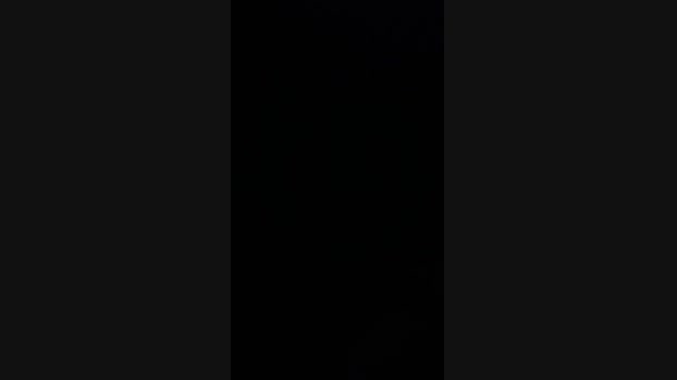 alfrevergonPV
