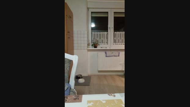 Doperman naughty Webcam SHOW @ Cam4 14-01-2025