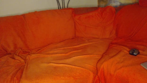 zeigealles legs Webcam SHOW @ Cam4 14-01-2025