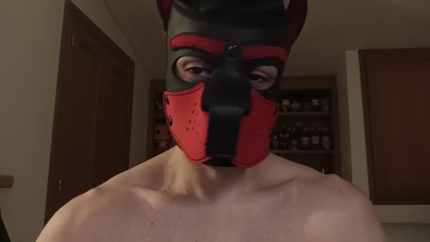 Frabroker kissing Webcam SHOW @ Cam4 17-01-2025