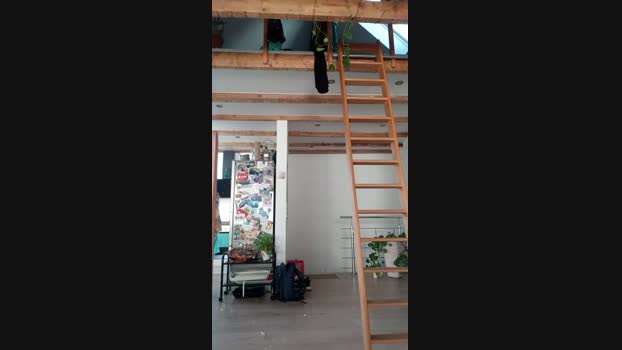 misterman244 play Webcam SHOW @ Cam4 21-01-2025