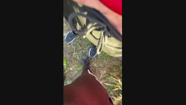 Sexycouple20_21 beauty Webcam SHOW @ Cam4 22-01-2025