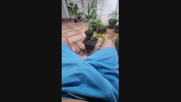 melzinho6 spank Webcam SHOW @ Cam4 26-01-2025