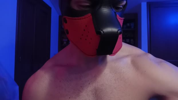 Frabroker hard Webcam SHOW @ Cam4 29-01-2025