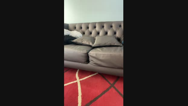 superkinghot squirt Webcam SHOW @ Cam4 30-01-2025