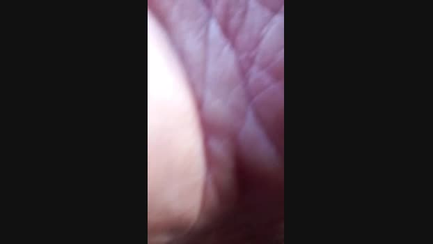 robert42 bigtoys Webcam SHOW @ Cam4 01-02-2025