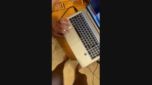 Manu97k toys Webcam SHOW @ Cam4 02-02-2025
