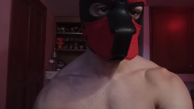 Frabroker sexykitty Webcam SHOW @ Cam4 04-02-2025