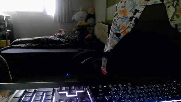 pvpvpv3331 hard Webcam SHOW @ Cam4 04-02-2025