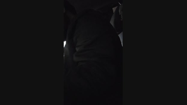 Beardedveteran suckcock Webcam SHOW @ Cam4 05-02-2025