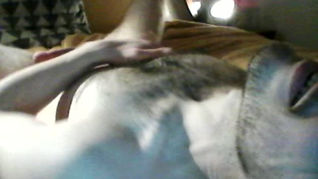 Tib334 Pretty Webcam SHOW @ Cam4 05-02-2025