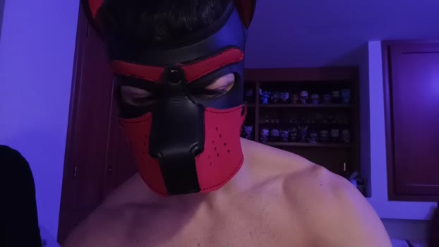 Frabroker Porn Webcam SHOW @ Cam4 08-02-2025