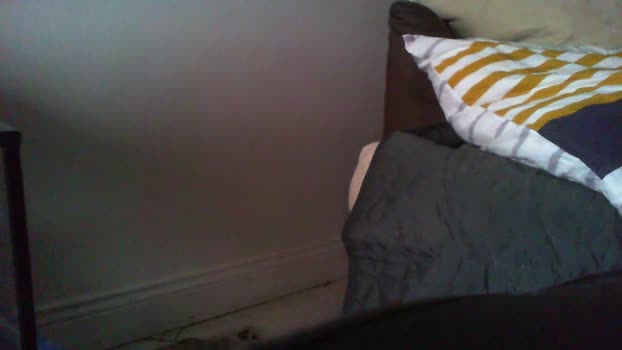 ffchiennasse bigdick Webcam SHOW @ Cam4 08-02-2025