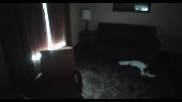 Beardedveteran Download Webcam SHOW @ Cam4 08-02-2025