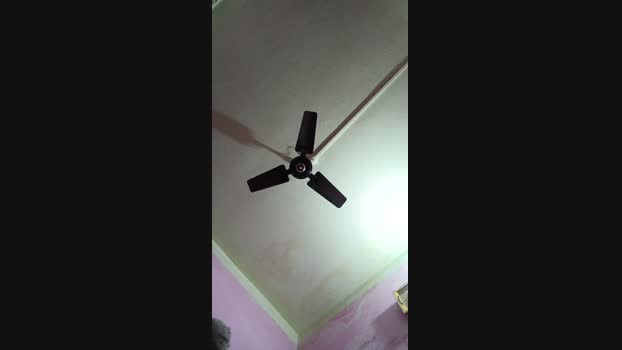 chiranjitho1 beauty Webcam SHOW @ Cam4 09-02-2025