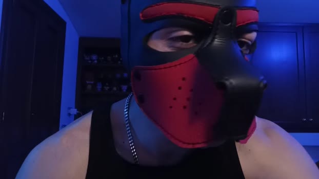 Frabroker Ass Webcam SHOW @ Cam4 11-02-2025