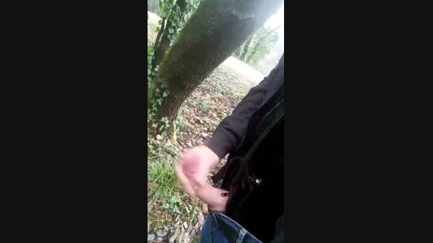 jef34 harddick Webcam SHOW @ Cam4 12-02-2025