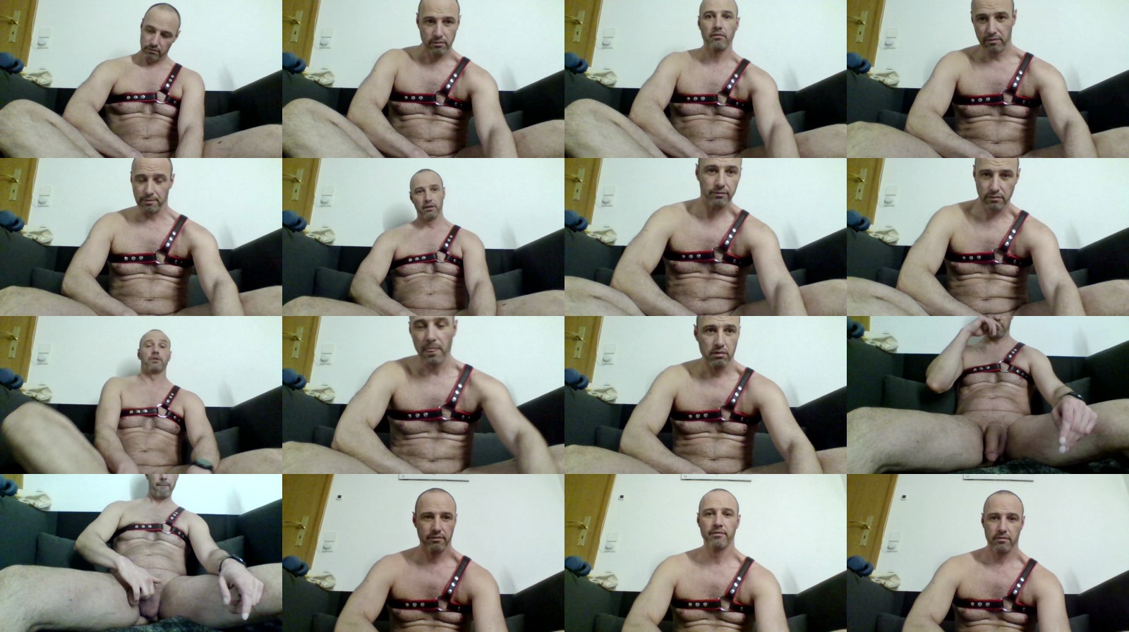 ralfrush hard Webcam SHOW @ Cam4 11-02-2025
