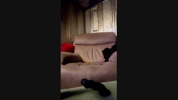 Chavbear fuckhard Webcam SHOW @ Cam4 12-02-2025