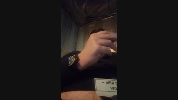Chavbear playtime Webcam SHOW @ Cam4 15-02-2025