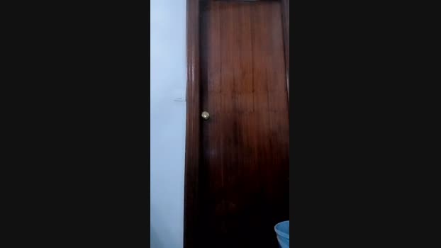 Sevillano_41