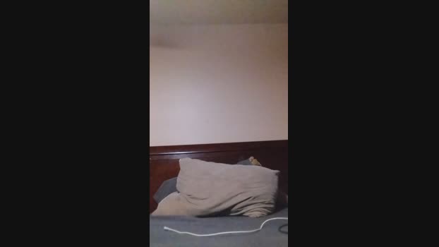 Jt14 jerkoff Webcam SHOW @ Cam4 19-02-2025