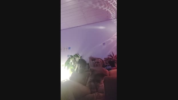 ooproprio jerkoff Webcam SHOW @ Cam4 19-02-2025