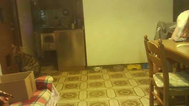 ragazzoporco83 Cam Webcam SHOW @ Cam4 21-02-2025