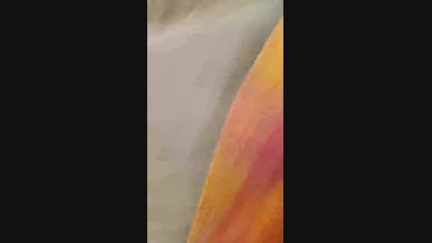 Beardedveteran naked Webcam SHOW @ Cam4 22-02-2025
