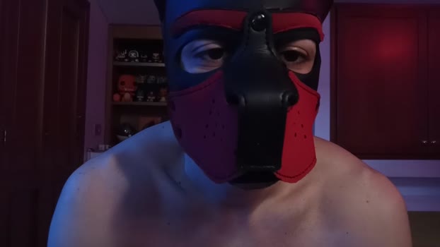 Frabroker Download Webcam SHOW @ Cam4 21-02-2025