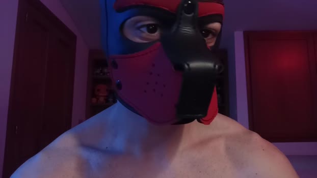 Frabroker play Webcam SHOW @ Cam4 21-02-2025