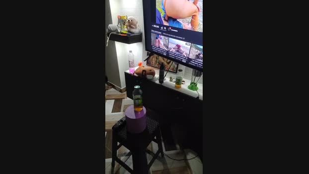 jhosbel2019 ass Webcam SHOW @ Cam4 23-02-2025