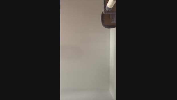 Mannfredfick kiss Webcam SHOW @ Cam4 27-02-2025
