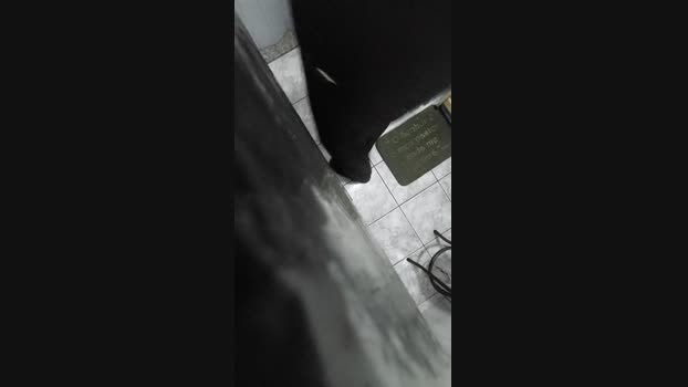 souzakw2 hardcock Webcam SHOW @ Cam4 27-02-2025