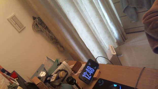su3g4xm4t86 show Webcam SHOW @ Cam4 26-02-2025