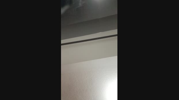 heteroculion ass Webcam SHOW @ Cam4 08-03-2025