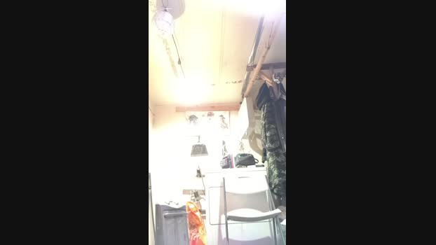 tigger1 hard Webcam SHOW @ Cam4 08-03-2025