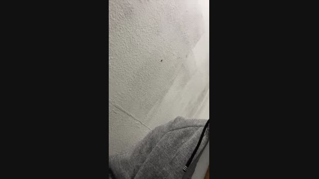Blackpointx horny Webcam SHOW @ Cam4 09-03-2025