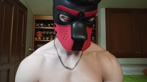 Frabroker show Webcam SHOW @ Cam4 12-03-2025