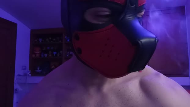 Frabroker beautiful Webcam SHOW @ Cam4 15-03-2025