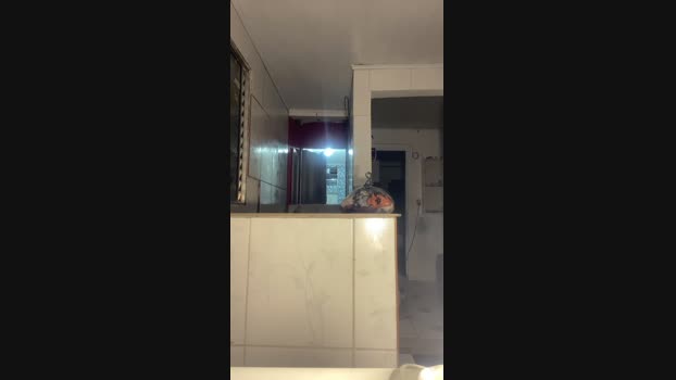 BlackDelToro bj-dildo Webcam SHOW @ Cam4 17-03-2025