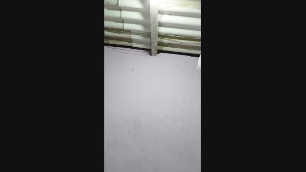 Pirokona_babona beautiful Webcam SHOW @ Cam4 17-03-2025