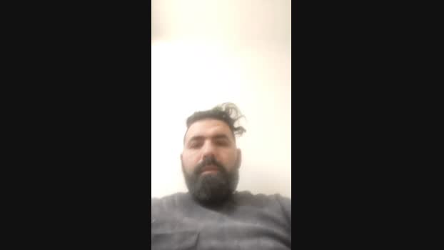 Cerbero31