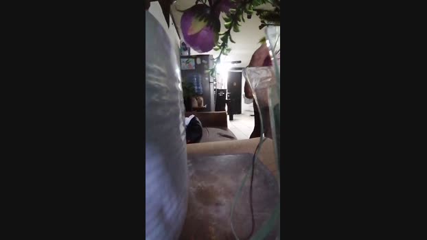 roncoratonm2 oral Webcam SHOW @ Cam4 22-03-2025